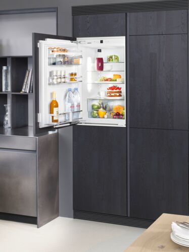 Холодильники Холодильник Liebherr IKP 1660, фото 3