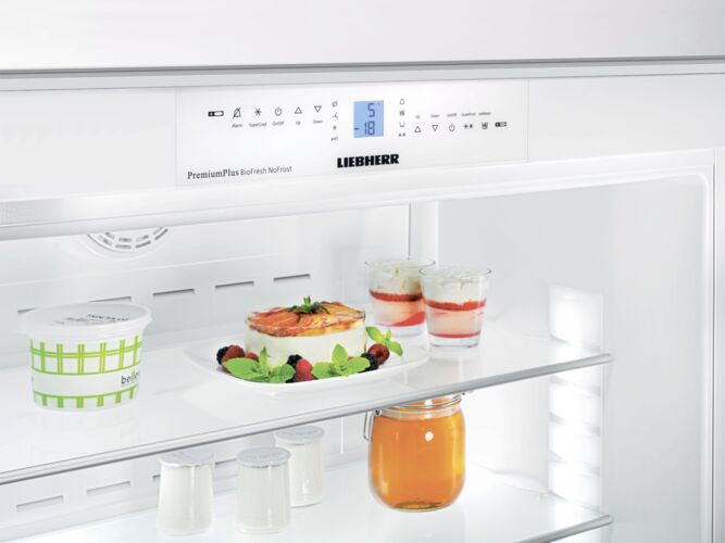 Холодильники Холодильник Liebherr ECBN 6156-22 617, фото 5
