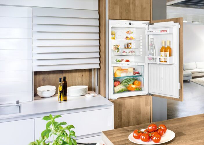 Холодильники Холодильник Liebherr IKB1920, фото 4